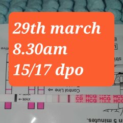 Dec-Christmas Babys 2024