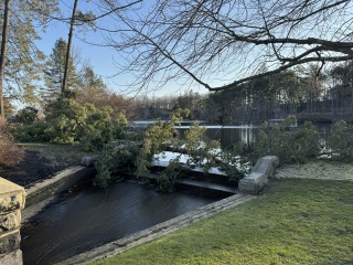 Come and tell me your dull and unexciting news 29: Calmly through the day