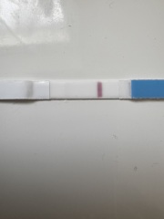 Pregnancy test