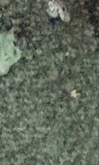 To think this is unacceptable - photos attached