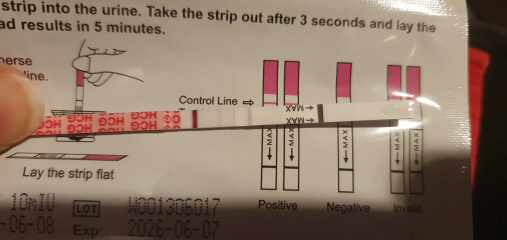 CD1 entering 3rd month TTC (next fertile window 8th - 17th march)