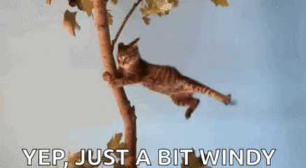 Mumsnetter @rafaisthekingofclay is in hospital NEEDS MEMES (edited by MNHQ at request of OP)