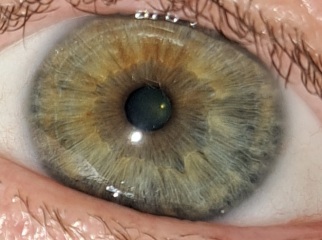 For all those 'what colour are my eyes' posts