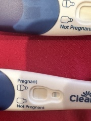 Clear blue test. Evap line or positive