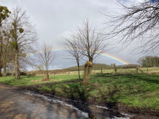 Come and tell me your dull and unexciting news 29: Calmly through the day