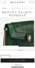 Can I see you dream/most favorite bag