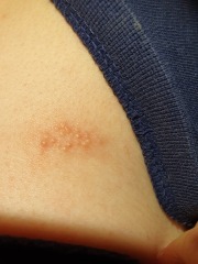 Any ideas what this is?