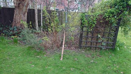 Any suggestions for this space please?