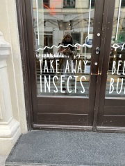 Les Parisiennes des Mamanset: On the Advent of Newness