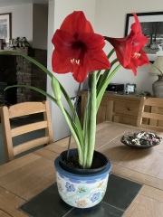 Show Us Your Photos