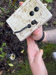 Was it the gardeners? Help me solve this mystery please