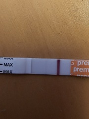 TTC April 2024…Christmas Babies! ❤️✨