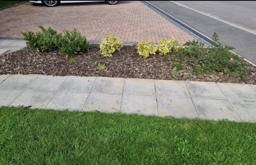 What would you do with this area?