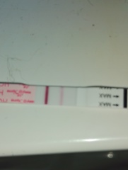 Update line progression tonight clear blue has faint line too cab anyone else see xx