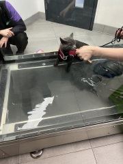 Finlay update - week 2 hydrotherapy