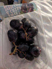 My grapes are unsettlingly large