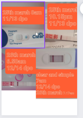 Clear blue BFP then faded in 10 hours
