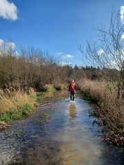 Come chat hiking with me!