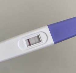 CD 32 BFP?