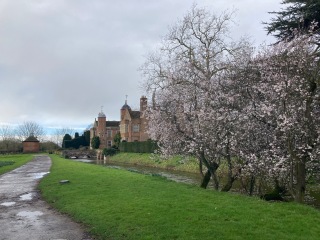 Come and tell me your dull and unexciting news 29: Calmly through the day