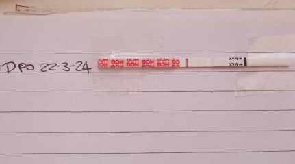 Wondfo pregnancy test