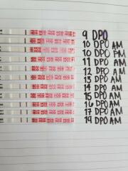 Dec-Christmas Babys 2024