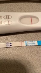 Evap or faint line 12DPO