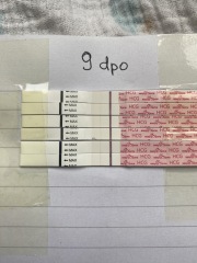 Faint positive or Indent lines?