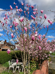 Thread 12 - TalkLair: “I say we take off and nuke the entire site from orbit. It's the only way to be sure.”