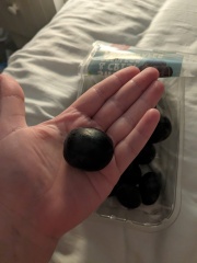 My grapes are unsettlingly large