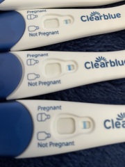 Pregnancy