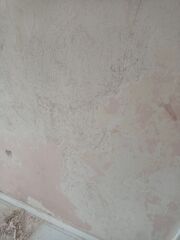 What would you do with these crappy walls?