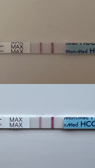 Dec-Christmas Babys 2024