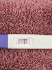 TTC April 2024…Christmas Babies! ❤️✨