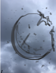Did any of you get used to big eye floaters?