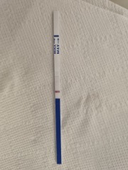9dpo - can you see a second line?