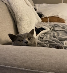 Thread 12 - TalkLair: “I say we take off and nuke the entire site from orbit. It's the only way to be sure.”