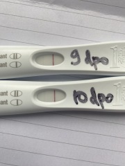Faint positive or Indent lines?