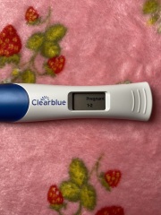 Baby due Nov 2024