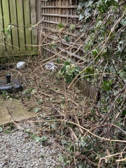 To think you can’t just cut someone’s bushes down?