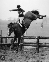 Royal Photographers and their iconic photographs: the best of the best