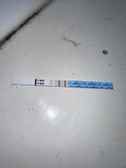Positive ovulation test?