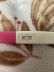 12dpo line progression