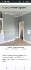 Help with living room palette