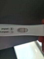 Is this a early positive test?