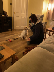 Stage 4 cancer... ? incurable? Thread #2 is here.  In memory of our inspiring, lovely mowly77