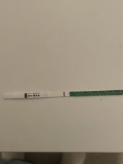 Clear blue evap line