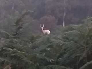 Any Witches here? Part 20