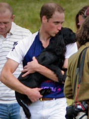 Royal Photographers and their iconic photographs: the best of the best