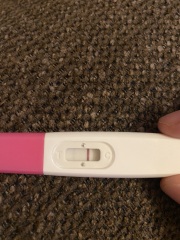 12dpo line progression